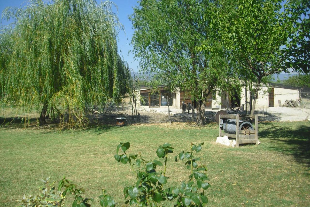 Apartamento Lou Mas Li Pitchoun "Le Prunier " Gordes Exterior foto