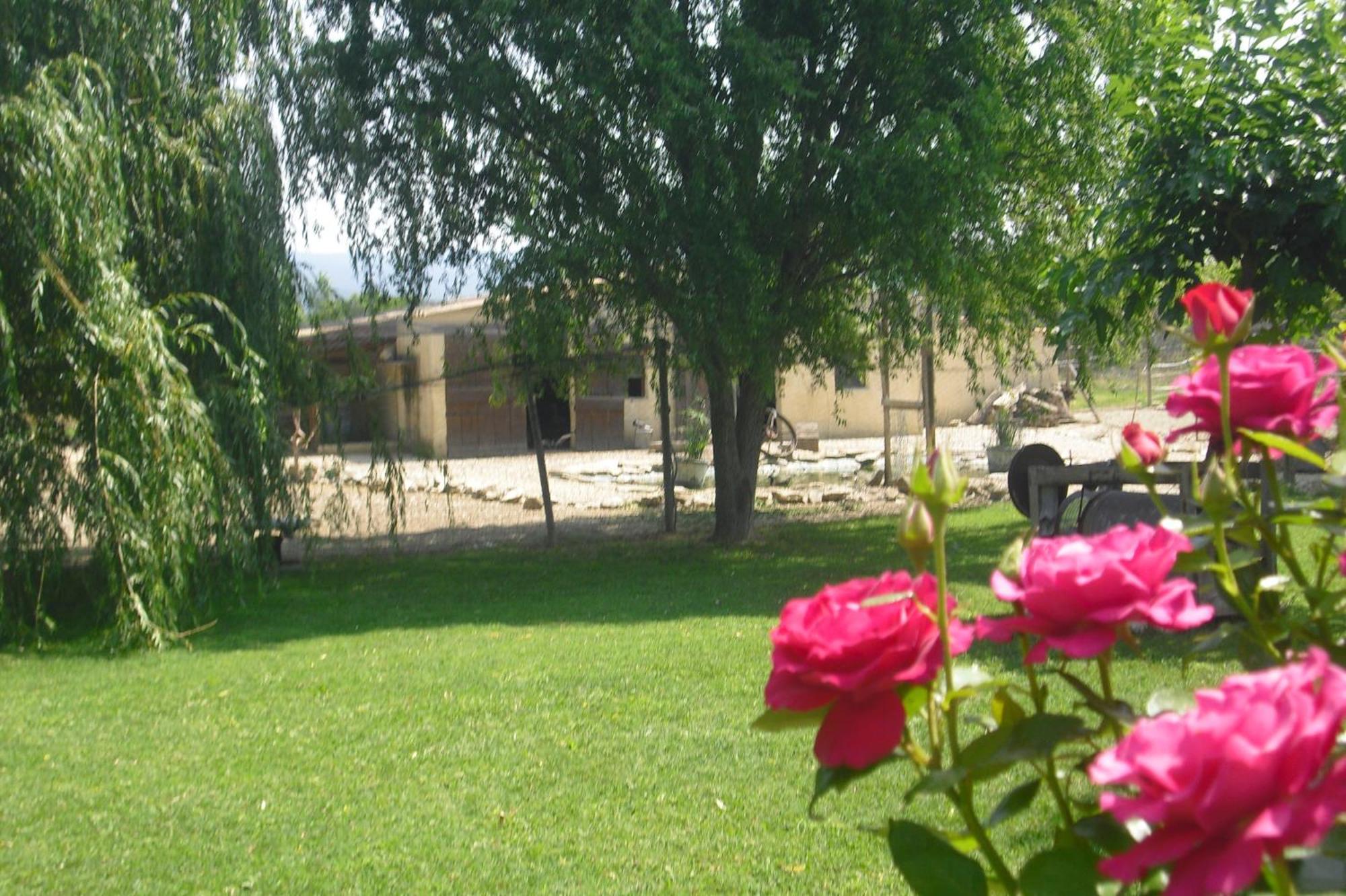 Apartamento Lou Mas Li Pitchoun "Le Prunier " Gordes Exterior foto