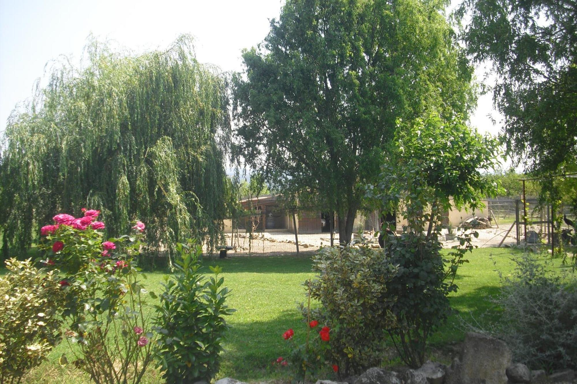 Apartamento Lou Mas Li Pitchoun "Le Prunier " Gordes Exterior foto