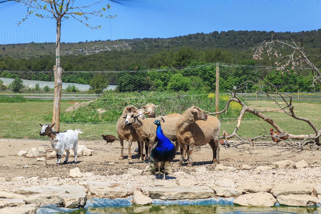 Apartamento Lou Mas Li Pitchoun "Le Prunier " Gordes Exterior foto